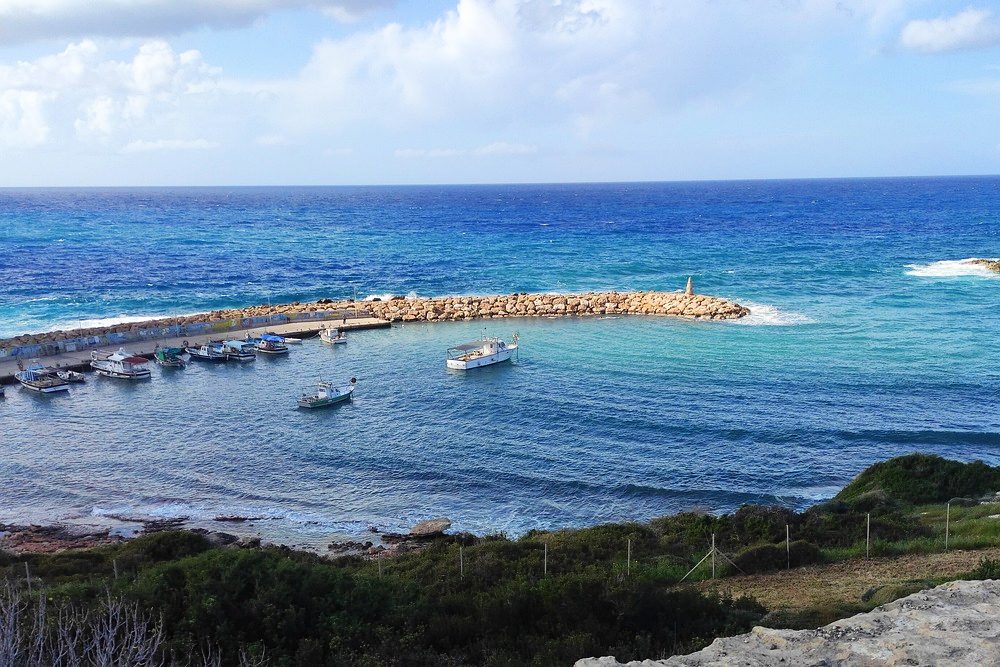 Fishing boats moored behind the stone breakwater at Agios Georgios harbour, Cape Drepano, Cyprus